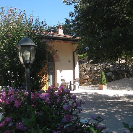 Corte La Selva Drugolo Εξωτερικό φωτογραφία